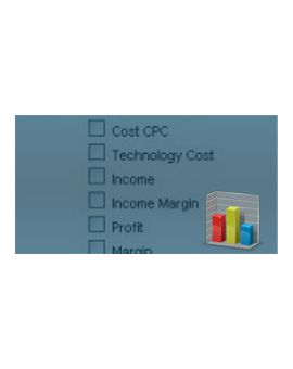 Customized Statistics Reports for Advertisers & Publishers