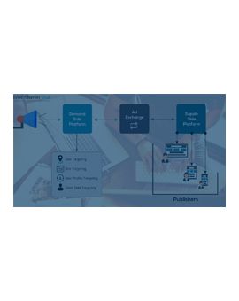 Advanced DSP Plugin for Revive Adserver