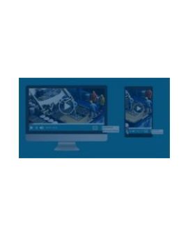 GIF Like Video Ads plugin for Revive Adserver