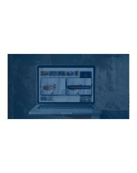 Split Reveal Ad Format