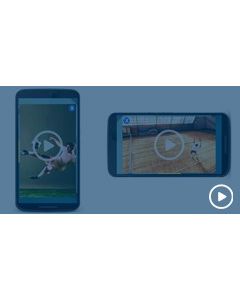 Interstitial mobile video ads plugin for Revive Adserver