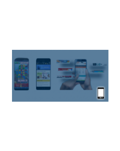 Custom API plugin for Revive adserver for Mobile Application