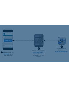 AMP ad tag plugin for revive adserver