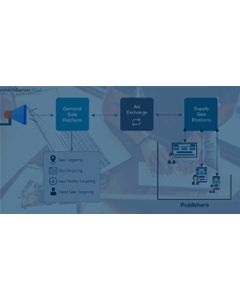 Advanced DSP Plugin for Revive Adserver