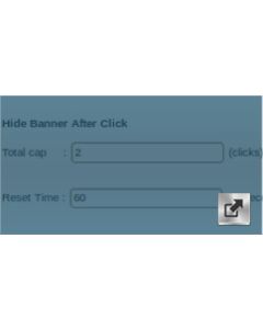 Hide Banner After Clicking