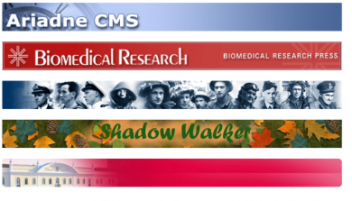 Multiple ad formats single row