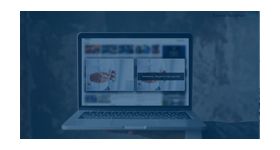 Split Reveal Ad Format